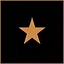 Bronze star 1 icon