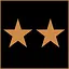Bronze star 2 icon