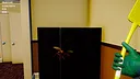 Pest Control Simulator Screenshot 2