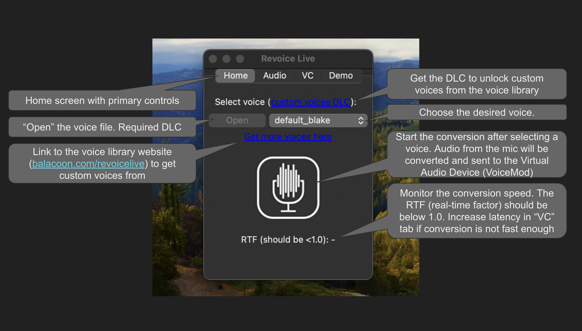 RevoiceLive Screenshot 0