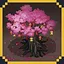 Peach Blossom Prophecy Under the Tree icon