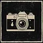 Through the Lens icon
