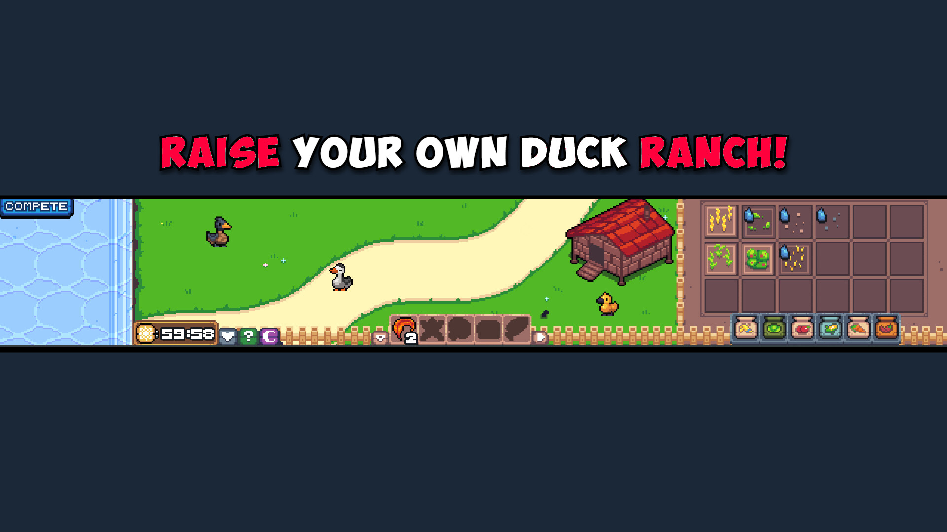 Feeding My Ducks Screenshot 0