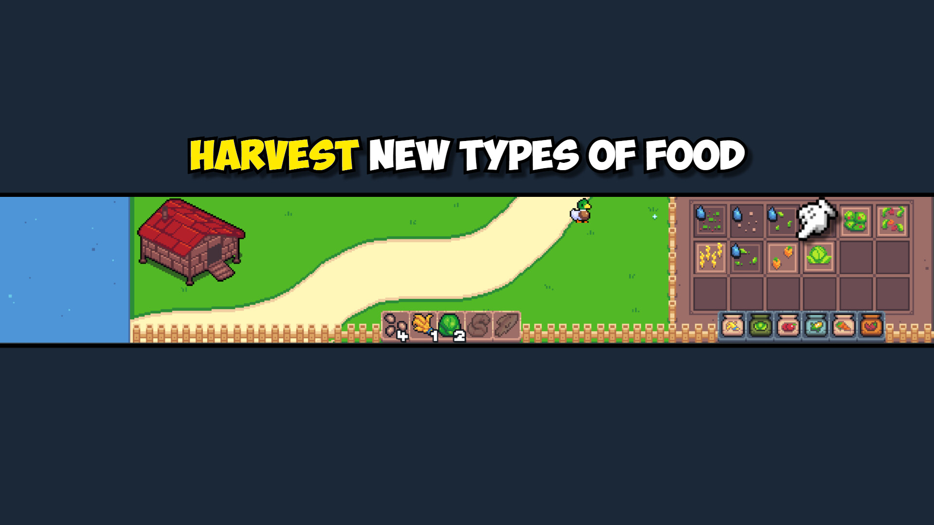 Feeding My Ducks Screenshot 4