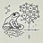 Frog Beginner