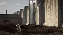 Radioactivity - Onboarding Screenshot 3