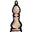 Practitioner icon