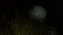 Proytz Screenshot 4