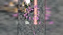Marras Screenshot 5