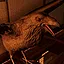_Ghost_of_Raven icon