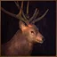 Deer Blaster icon