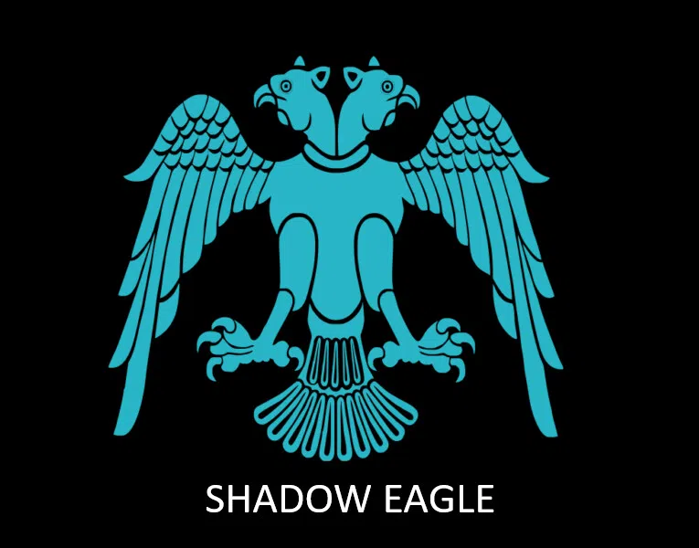 Shadow Eagle Screenshot 9