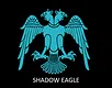 Shadow Eagle Screenshot 9