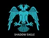 Shadow Eagle Screenshot 10