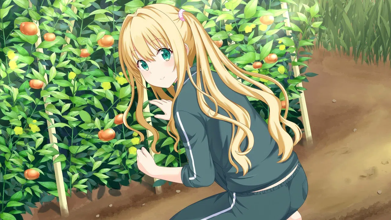 Kono Aozora ni Yakusoku o Refine Screenshot 3