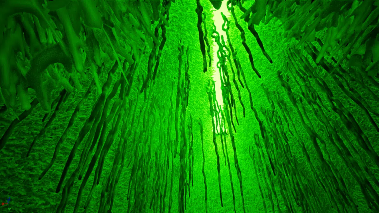 The Lost Island Screenshot 19