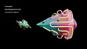 Full Spectrum Gradient Screenshot 4