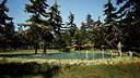 Take a Walk Screenshot 2