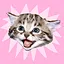 Cat enjoyer icon
