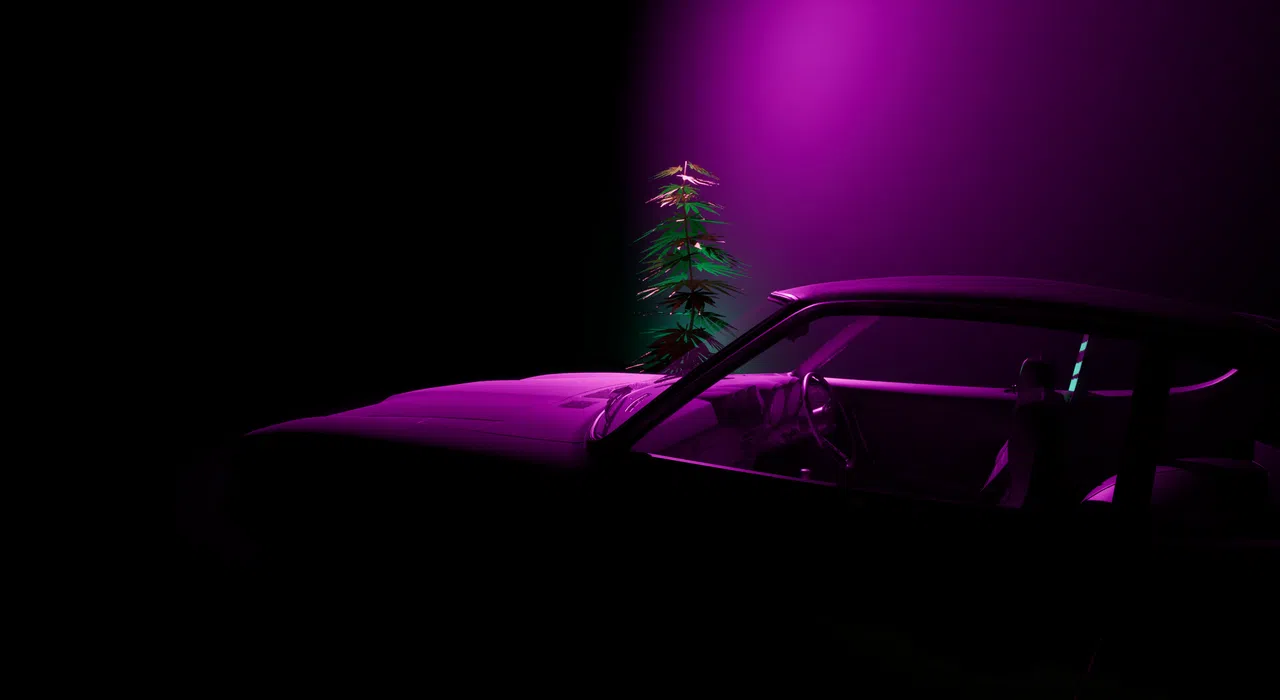 My Project Car Screenshot 0