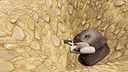 Metal Treasure Hunt Simulator Screenshot 3