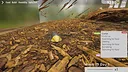 Isopod Keeping Simulator Demo Screenshot 4