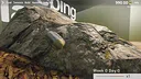 Isopod Keeping Simulator Demo Screenshot 2