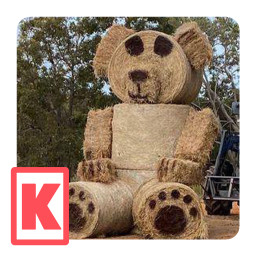 The Big Teddy Bear icon