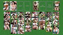 AI Solitaire - Boob Lover Screenshot 8
