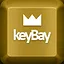 Collector icon