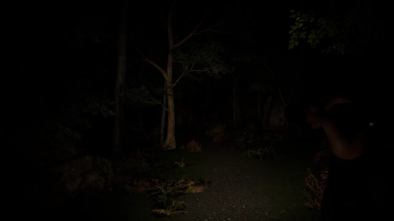 SCP Origins - Forgotten Steps Screenshot 3