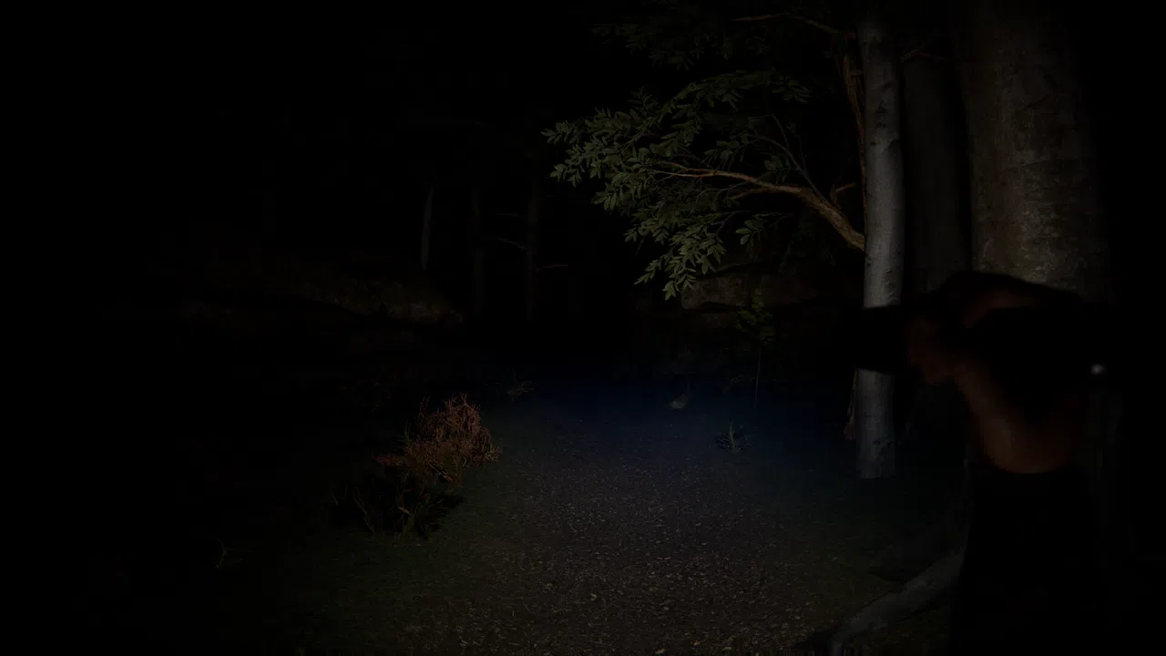 SCP Origins - Forgotten Steps Screenshot 2