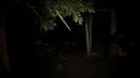 SCP Origins - Forgotten Steps Screenshot 8
