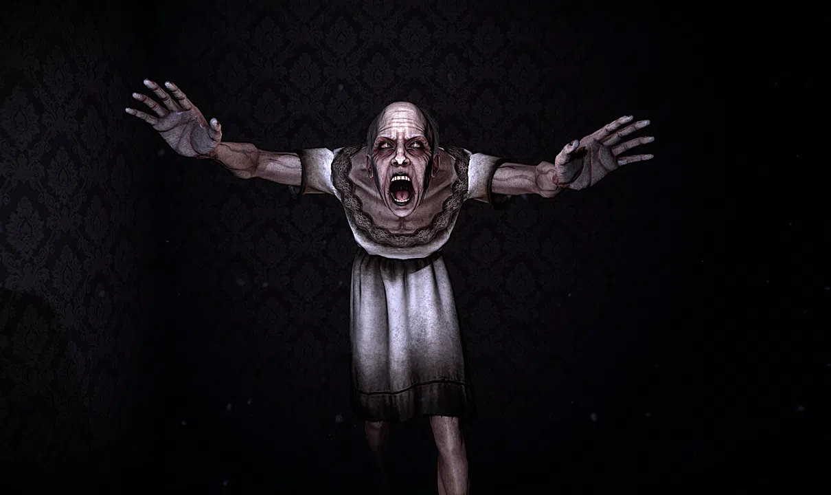 The Maid Screenshot 0
