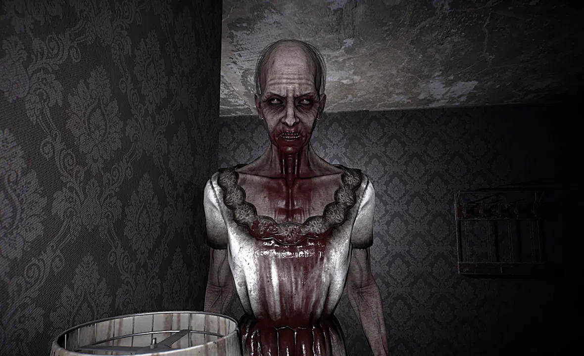 The Maid Screenshot 3