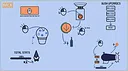 Berry Picker Screenshot 4