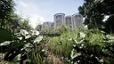 自梳：消逝的姑婆屋 Self-Comb Women: Home Left Behind Screenshot 14