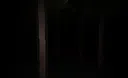 HGPP Screenshot 2