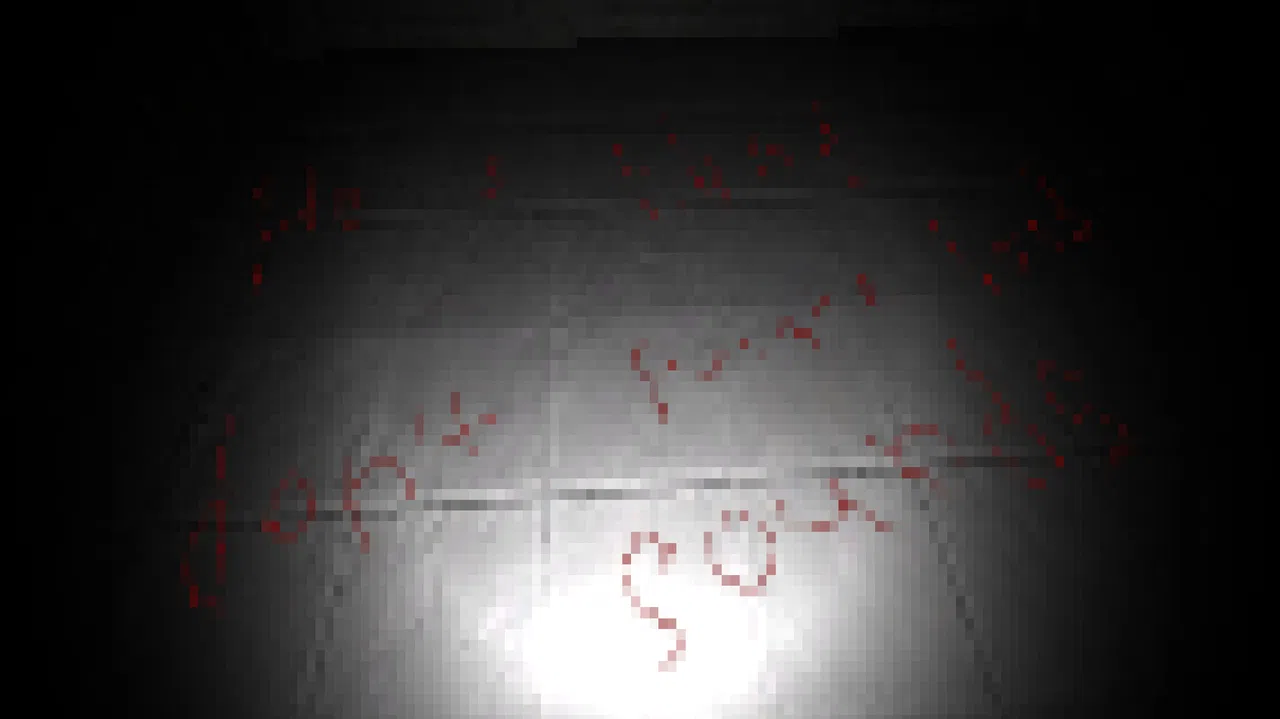 HGPP Screenshot 0