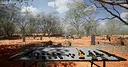 Homaysa: Free To Play Screenshot 4