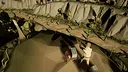 Streamlands: Defense Screenshot 6