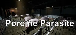 Porcine Parasite