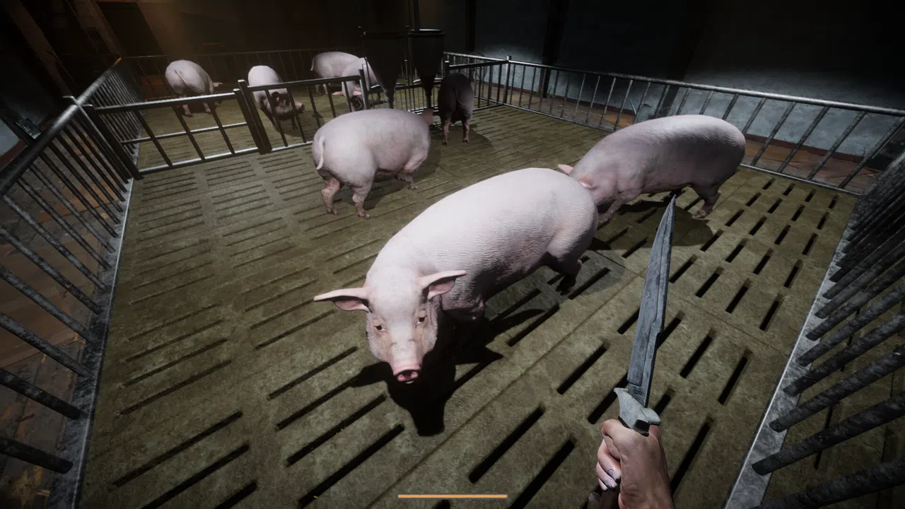Porcine Parasite Screenshot 4