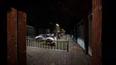 Porcine Parasite Screenshot 0
