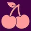Berry icon
