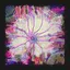 The Deep icon