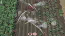 Hidden Tomatoes : Farm Frenzy Screenshot 1