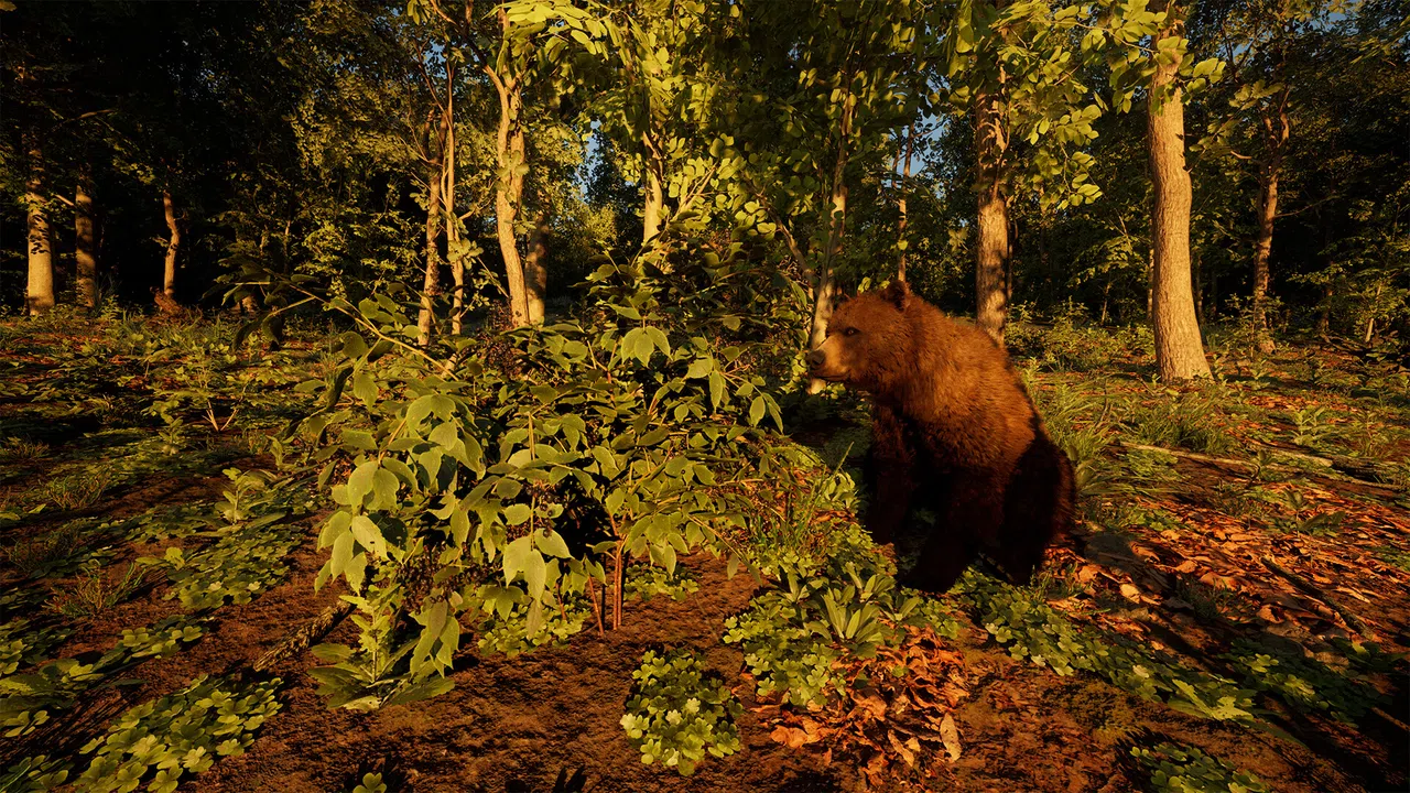 Carpathian Survival Screenshot 4