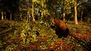 Carpathian Survival Screenshot 4