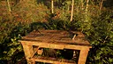 Carpathian Survival Screenshot 1